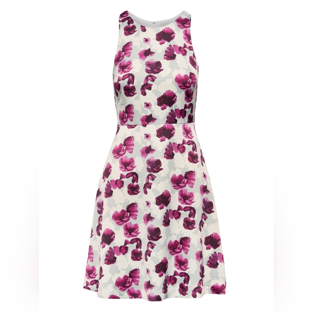 Banana Republic Floral Fit and Flare Dress
